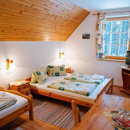 Penzion Sindlovec Оравице Екстериор снимка