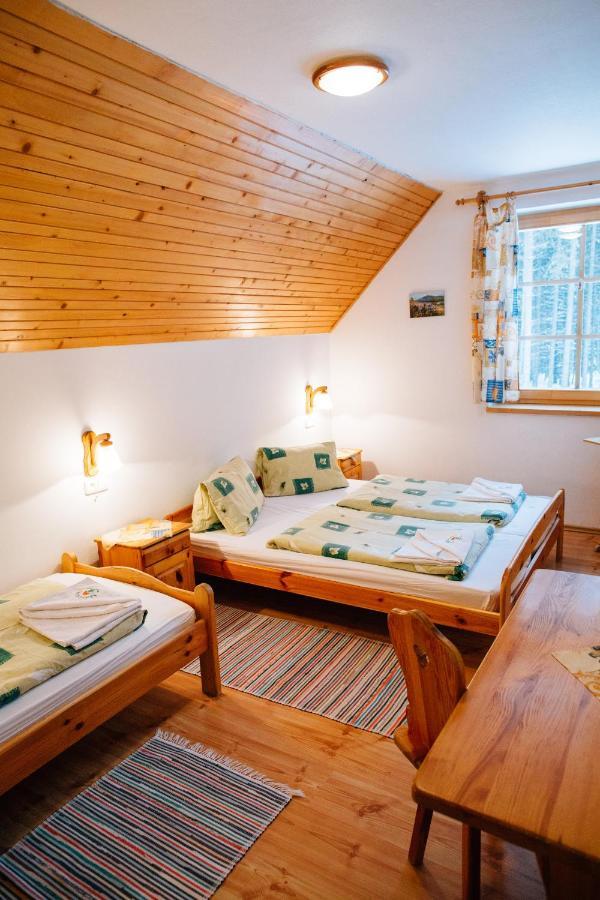 Penzion Sindlovec Оравице Екстериор снимка