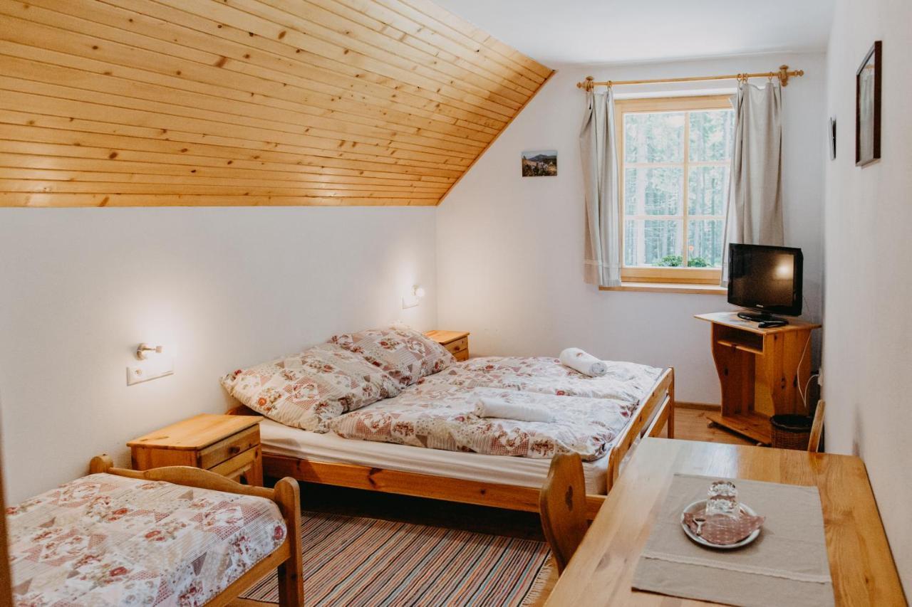 Penzion Sindlovec Оравице Екстериор снимка