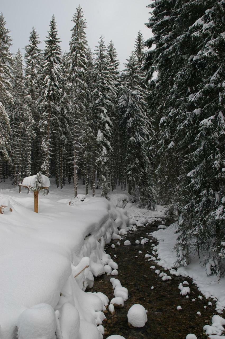 Penzion Sindlovec Оравице Екстериор снимка