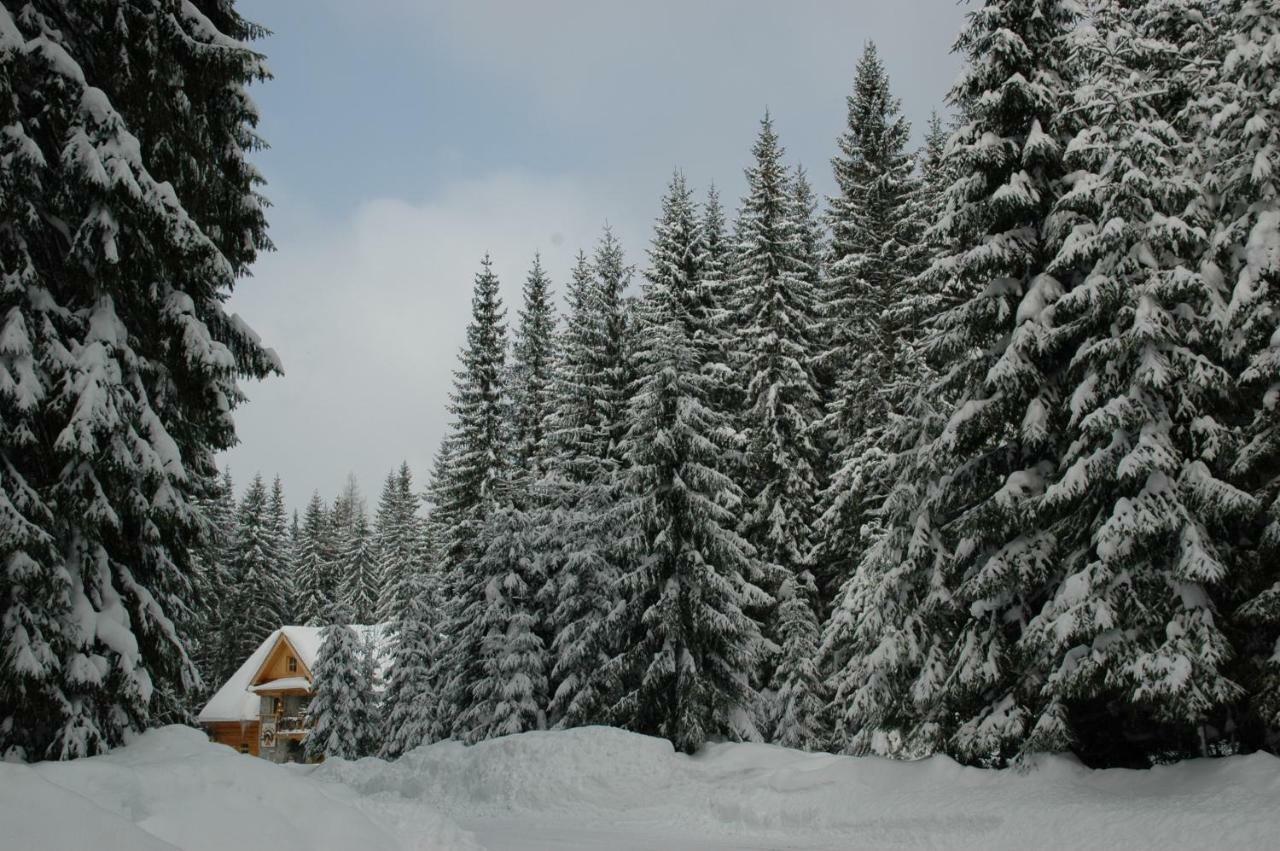 Penzion Sindlovec Оравице Екстериор снимка